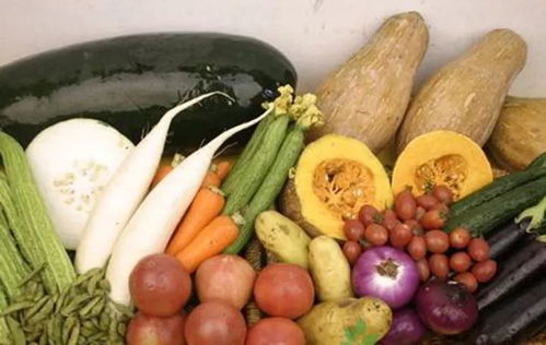 媽妮熊提醒 兒童健康飲食3點(diǎn)注意,9項(xiàng)原則