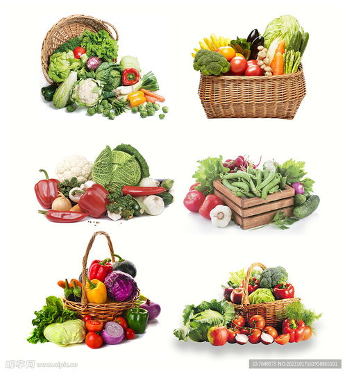 水果圖設(shè)計(jì)圖