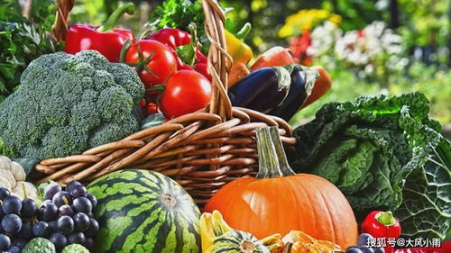 領鮮碼頭 打造一個社區化的生鮮超市