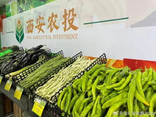 農(nóng)業(yè)行業(yè)觀察深度剖析 什么是農(nóng)產(chǎn)品直供模式 附創(chuàng)新路徑