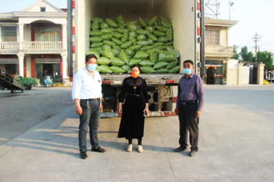 東臺(tái)市南沈灶鎮(zhèn):"金"豆豆鼓起群眾錢袋子