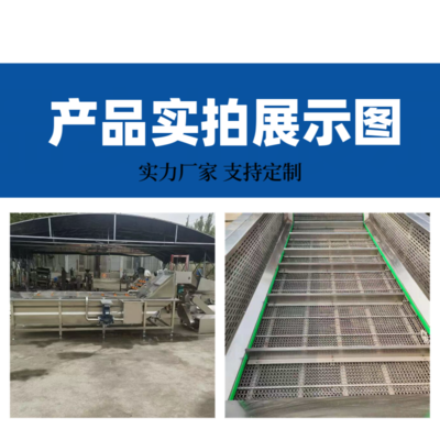 花生毛豆氣泡清洗機 綠豆黃豆芽清洗去殼機器 蔬菜加工高壓沖洗機器