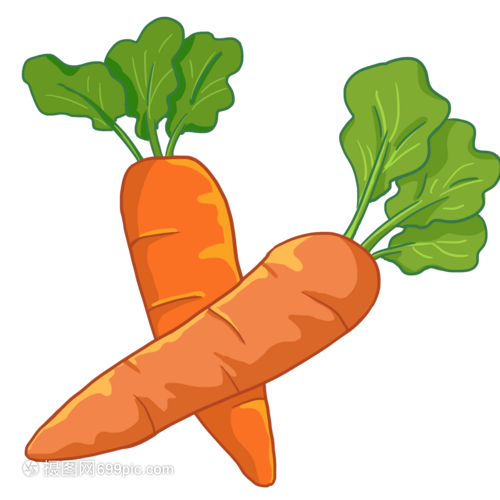 手繪卡通胡蘿卜 豐收的喜悅