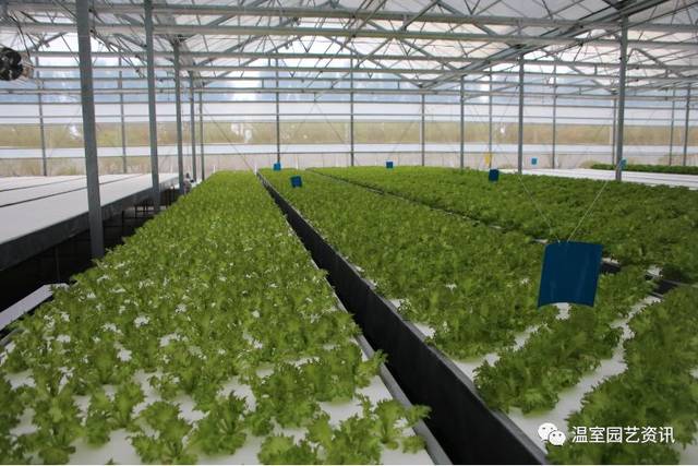 探秘京東植物工廠 產(chǎn)銷一體化破解農(nóng)產(chǎn)品銷售難題